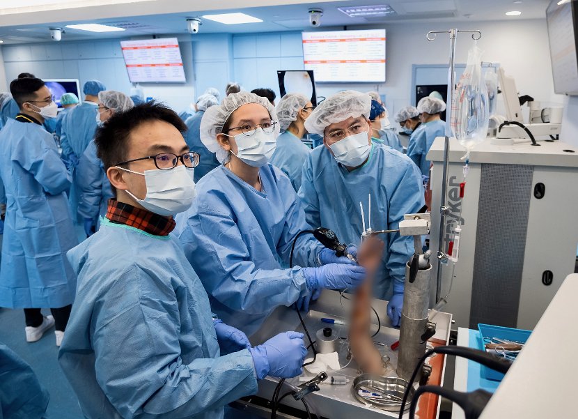 HK Wrist Course 2024 - Workshops  - 80 of 241